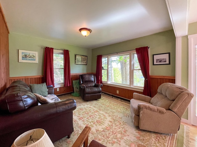 living room featuring light hardwood / wood-style floors