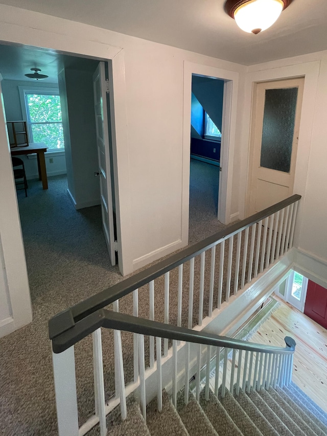 stairway with carpet floors