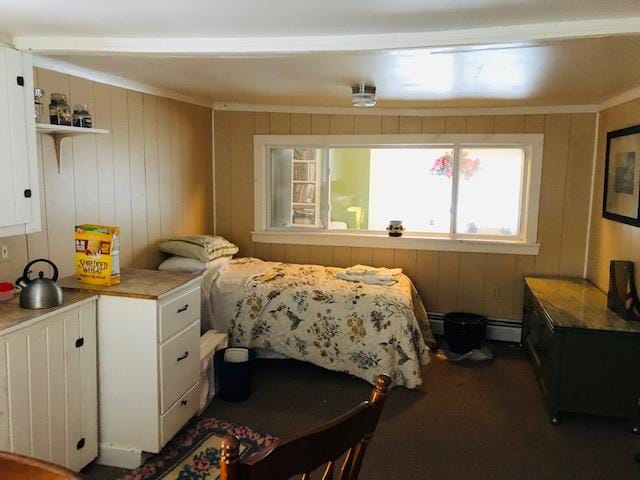 bedroom featuring a baseboard heating unit