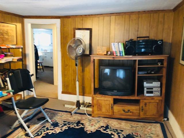 living room with light carpet, wood walls, and ornamental molding