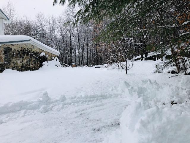 view of yard covered in snow