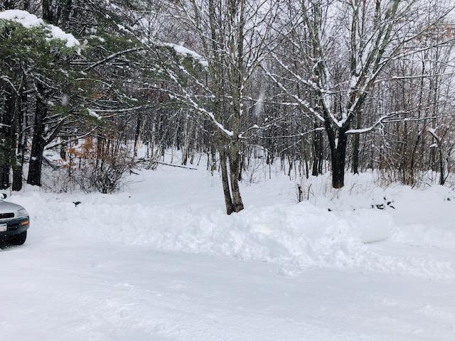 view of snow covered land