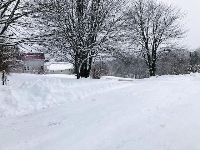 view of snowy yard