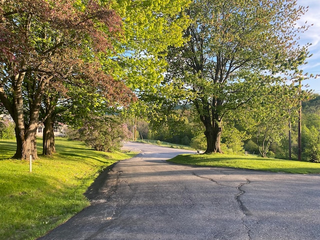 view of street