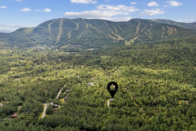 view of mountain feature