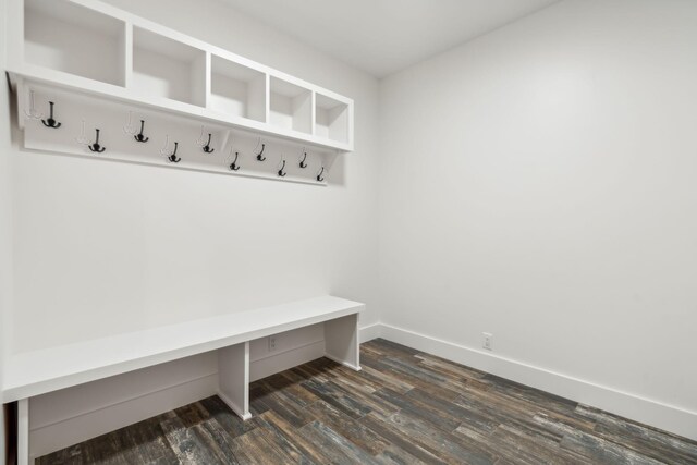 mudroom with dark hardwood / wood-style flooring