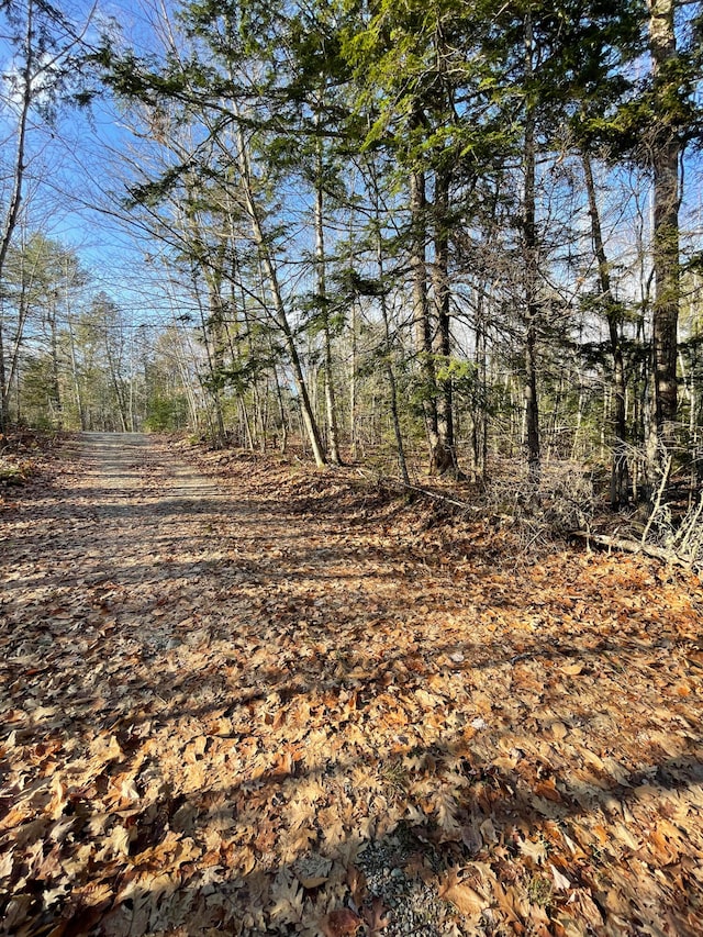 Listing photo 2 for LOT1 W Cider Mill Ln, Swanville ME 04915