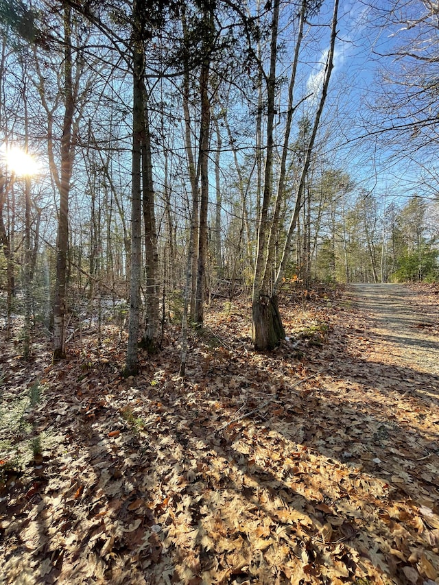 Listing photo 3 for LOT1 W Cider Mill Ln, Swanville ME 04915