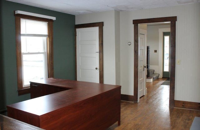 interior space with dark hardwood / wood-style floors and a wealth of natural light