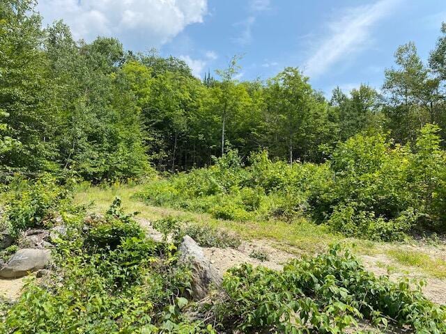 Listing photo 3 for 11 Eagle Ridge Rd, Kingfield ME 04947