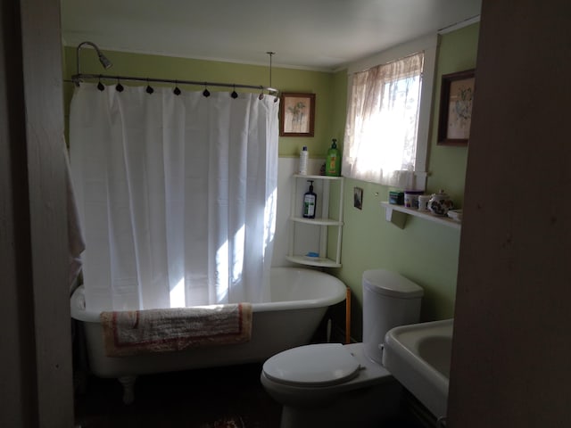 full bath featuring toilet and a sink