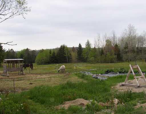 view of yard with a rural view