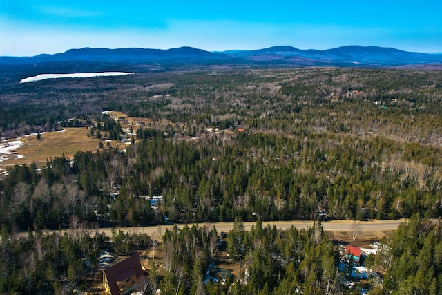 drone / aerial view with a mountain view