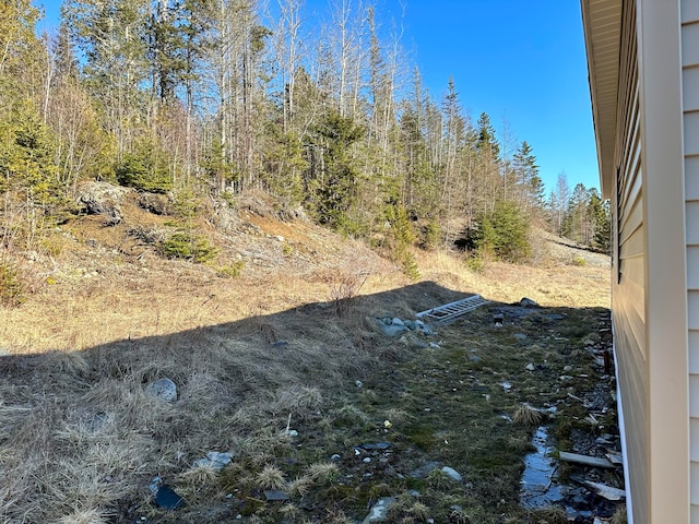 view of yard featuring a water view