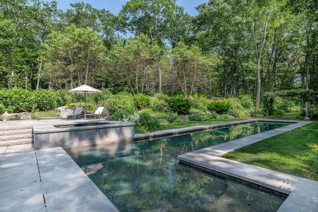 29 Summerhaven Ln, Boothbay, ME 04544 - view of pool featuring a patio, a forest view, and a pool with connected hot tub