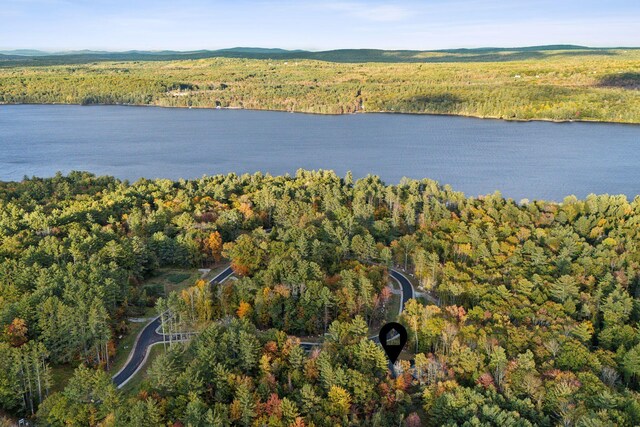 LOT6 Camp Woodlands Rd, Bridgton, ME 04009 - photo 29