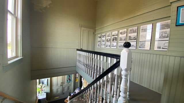 staircase with wooden walls