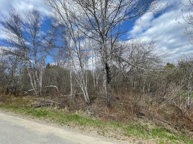 LotF Mountain View Drive, Baileyville ME, 04694 land for sale