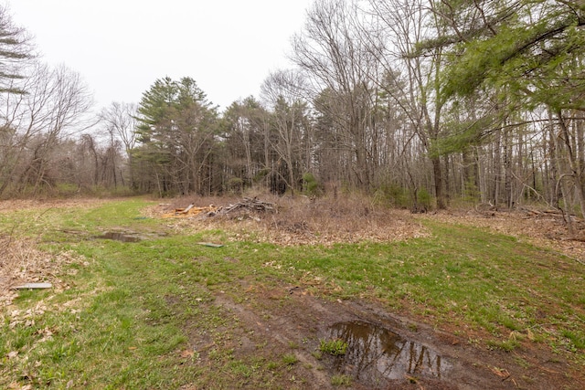 view of local wilderness