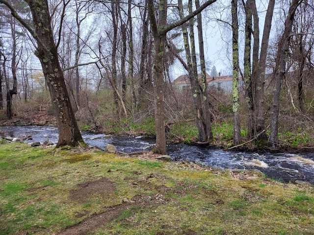 view of yard with a water view