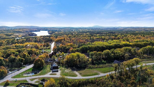 drone / aerial view featuring a water and mountain view