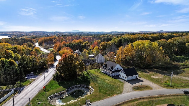 drone / aerial view