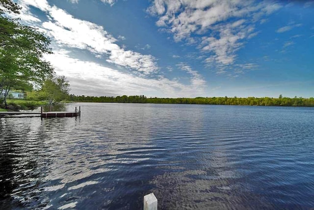 view of water feature with a boat dock