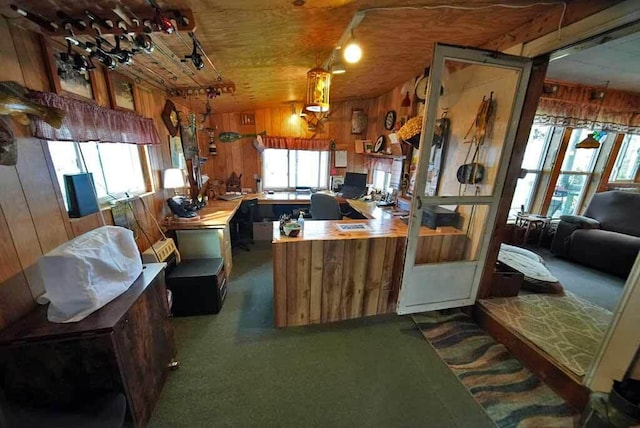 kitchen featuring carpet floors and wooden walls