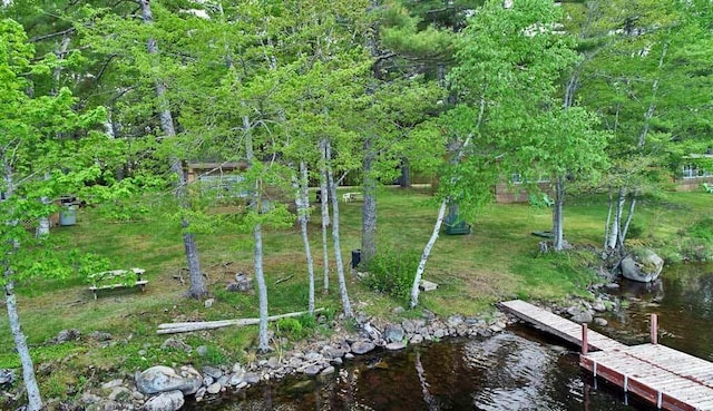 exterior space with a water view and a boat dock