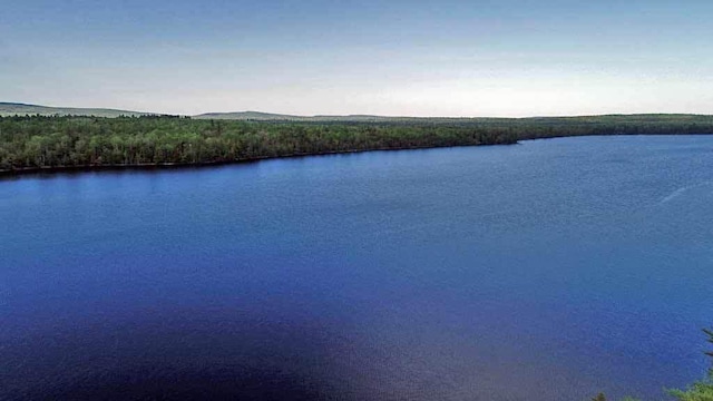 view of water feature