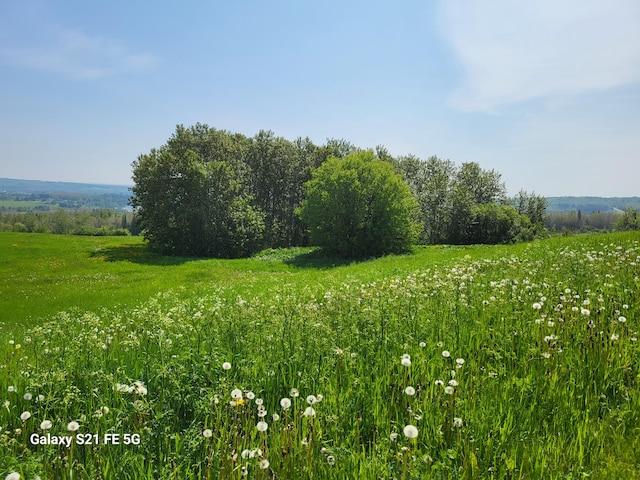 view of local wilderness featuring a rural view