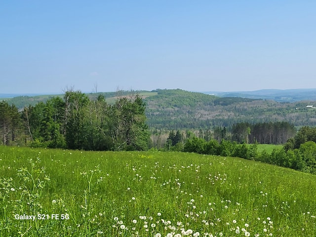 view of mountain feature