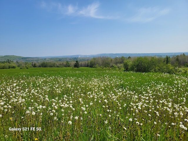 view of local wilderness featuring a rural view