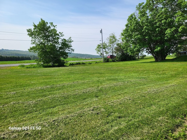 view of yard featuring a rural view