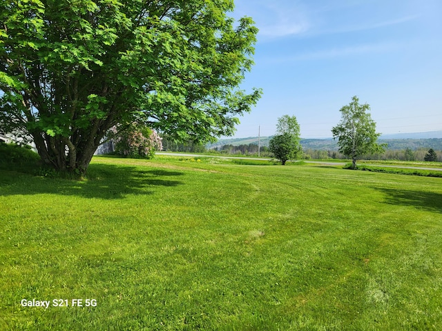 view of yard featuring a rural view