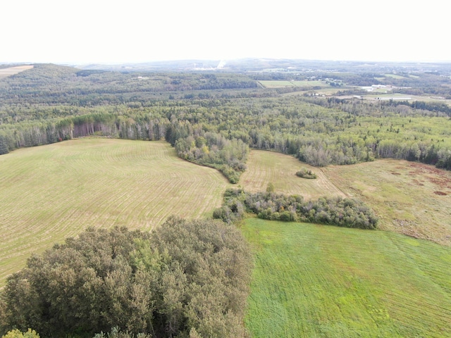 bird's eye view with a rural view