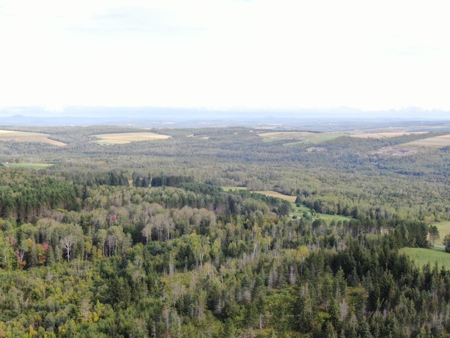 view of drone / aerial view