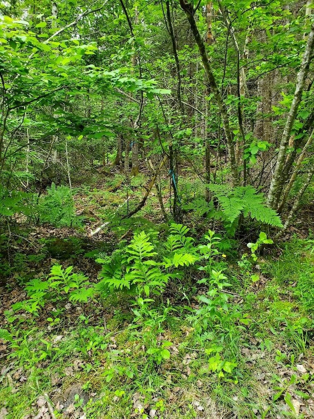 0 Mill St, Princeton, ME 04668 - photo 6