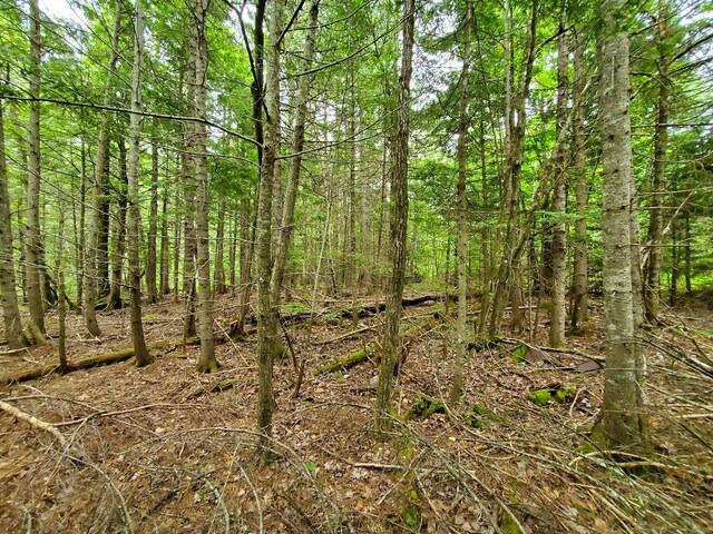 0 Mill St, Princeton, ME 04668 - photo 10