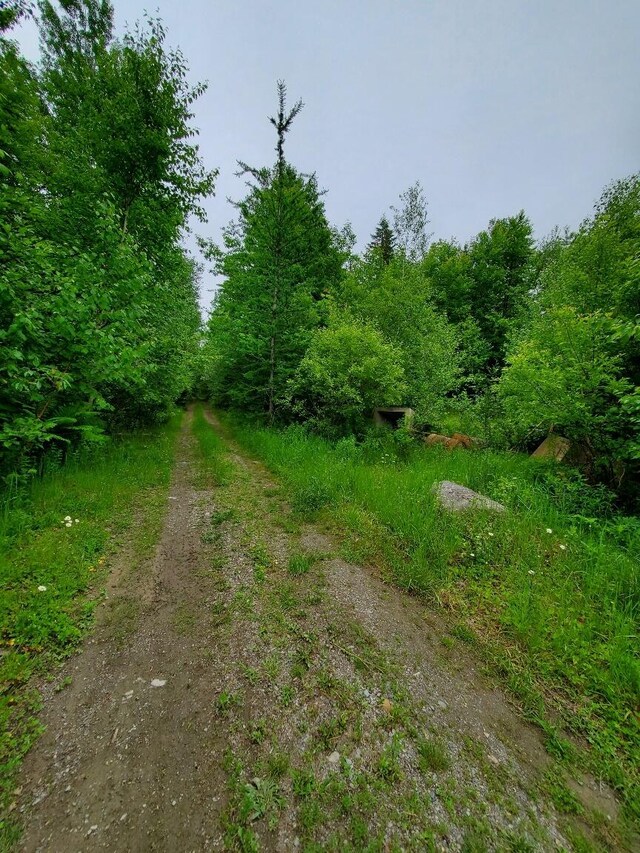 0 Mill St, Princeton, ME 04668 - photo 19