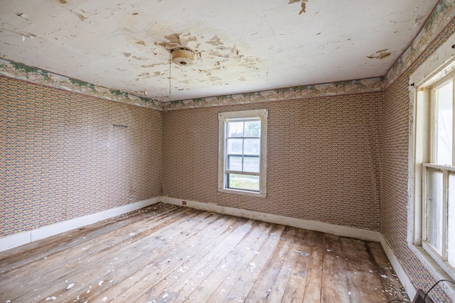 empty room with light hardwood / wood-style floors