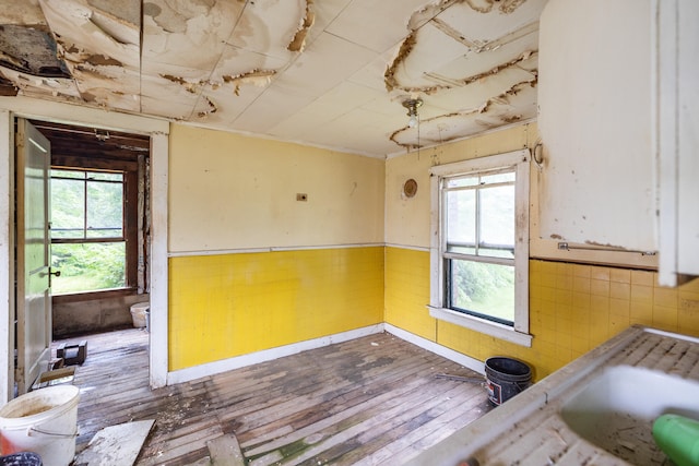 empty room featuring hardwood / wood-style floors and a wealth of natural light