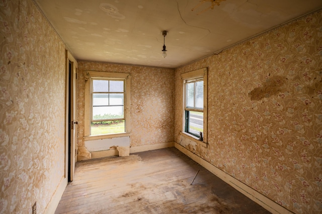 spare room featuring light wood-type flooring
