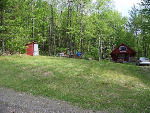 view of yard with a storage shed