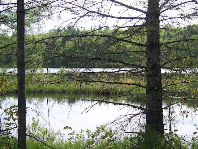 view of water feature