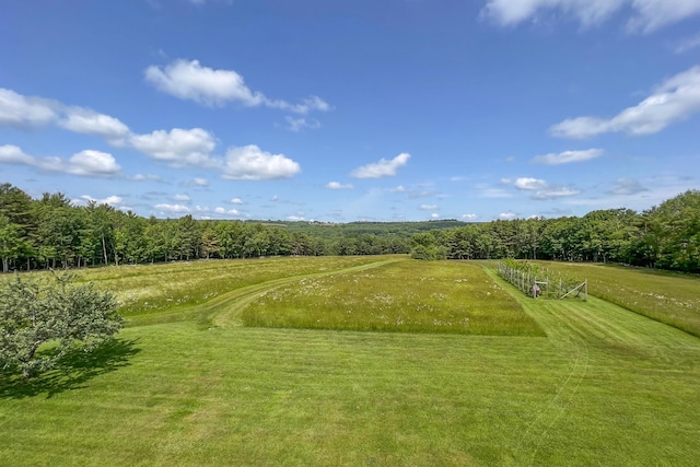 view of nearby features featuring a yard