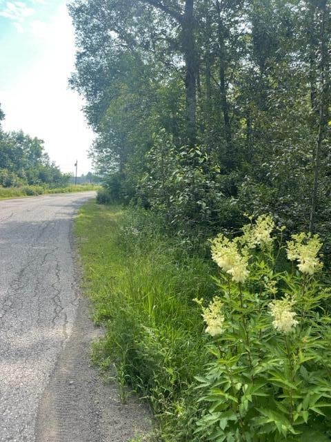 0 Convent Rd, Eagle Lake, ME 04739