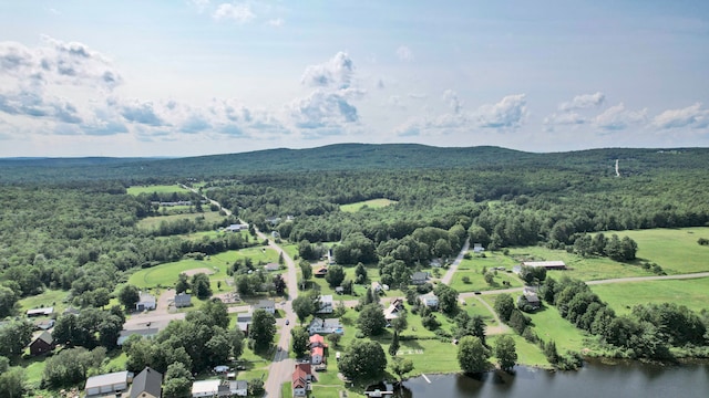 bird's eye view featuring a water and mountain view