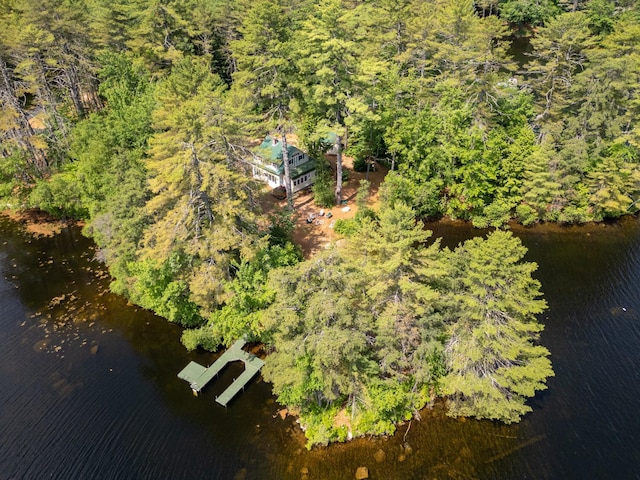16 Walsh Dr, Denmark, ME 04022 - photo 52