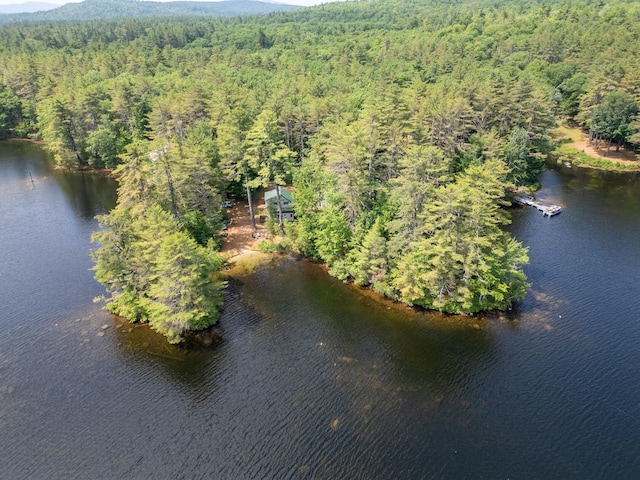 16 Walsh Dr, Denmark, ME 04022 - photo 51